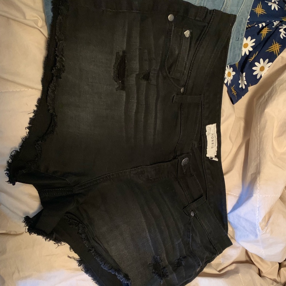 Torrid Shorts Bundle